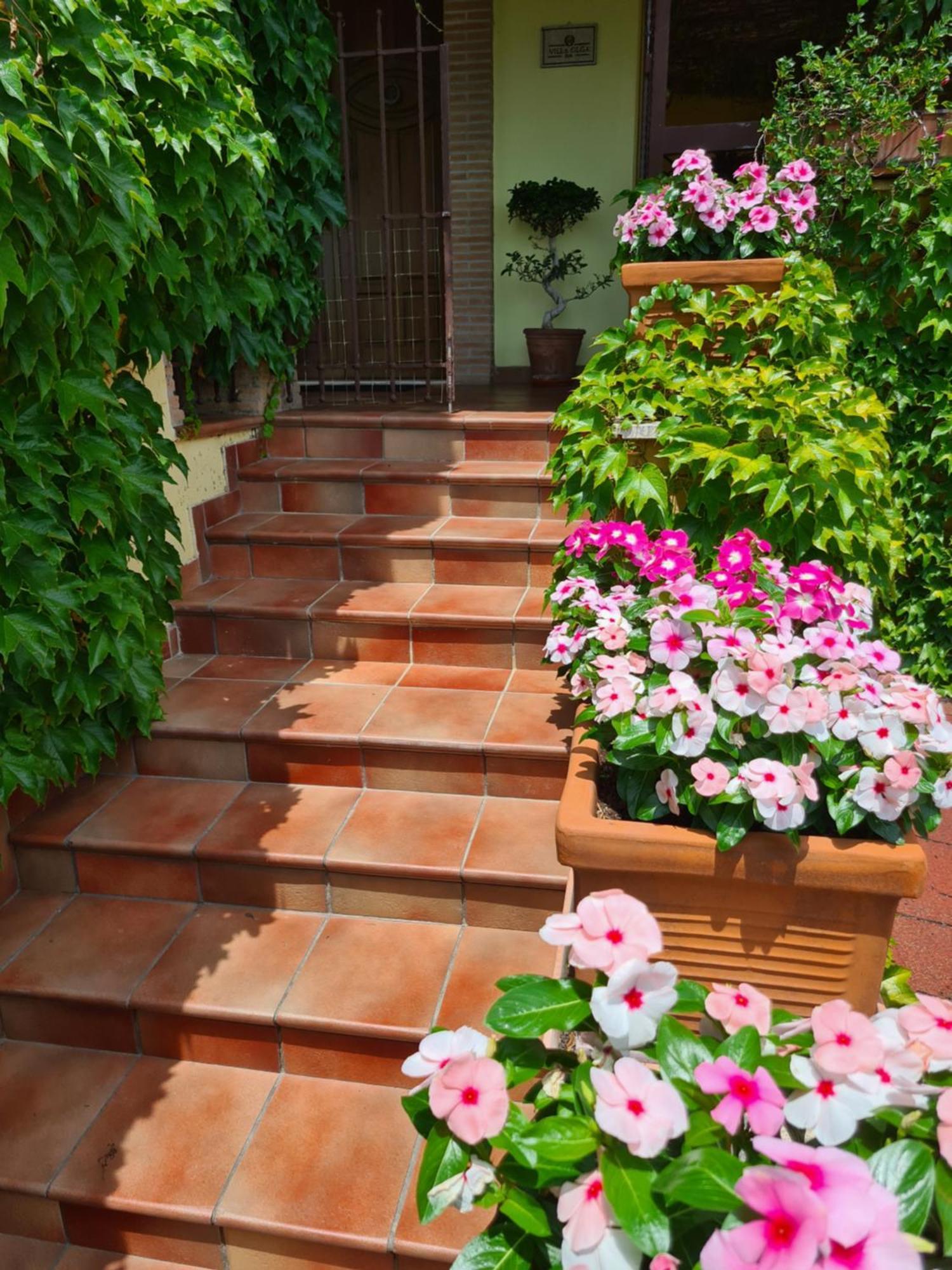 Villa Olga B&B Formia Exterior foto