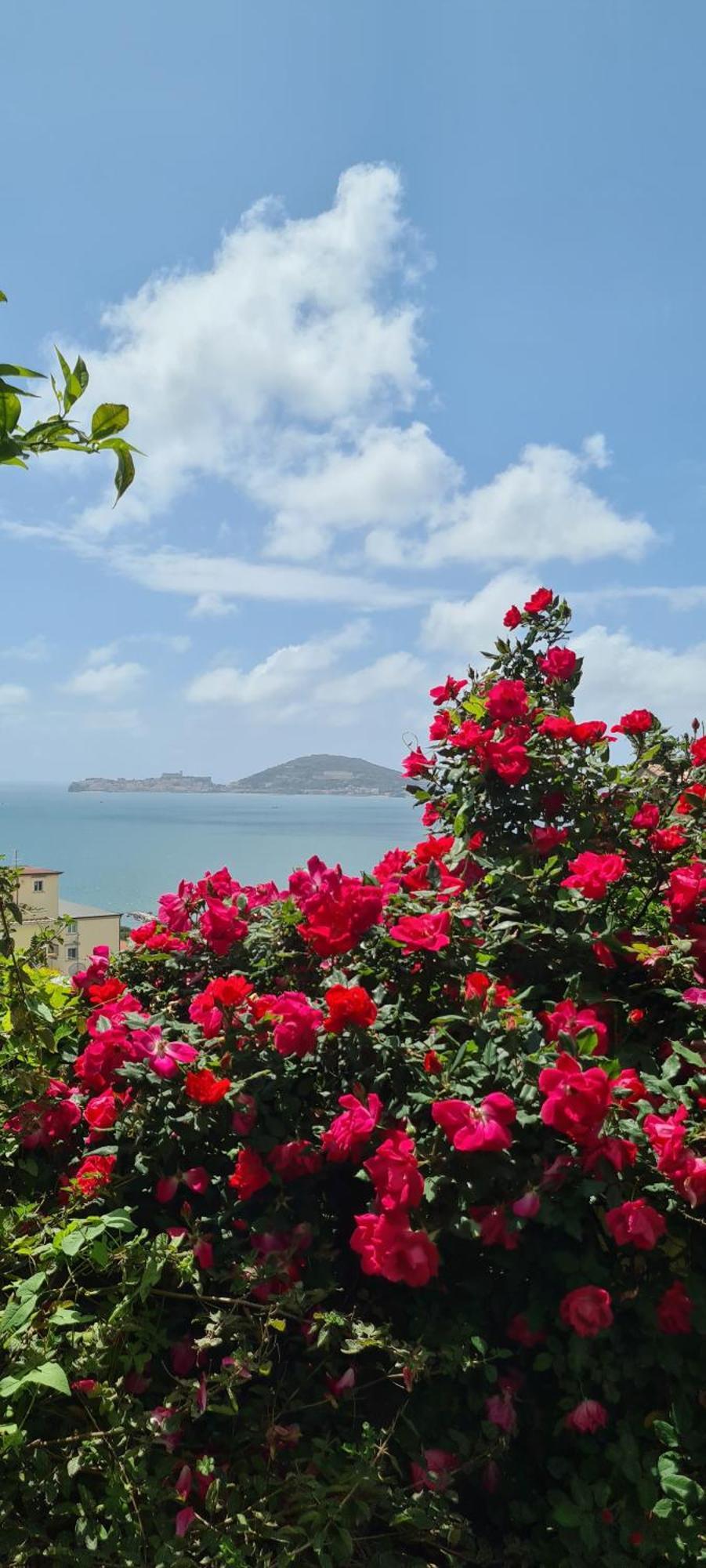 Villa Olga B&B Formia Exterior foto