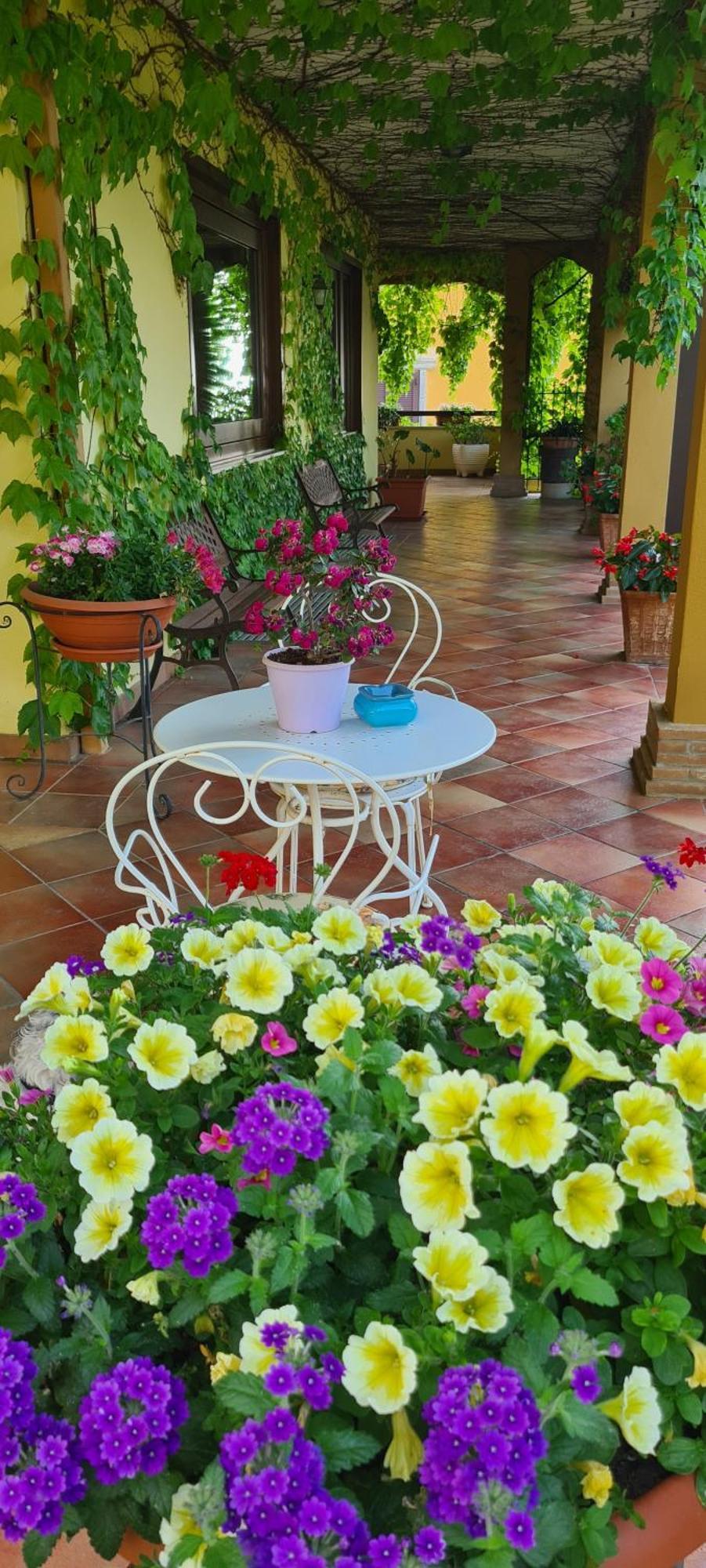 Villa Olga B&B Formia Exterior foto