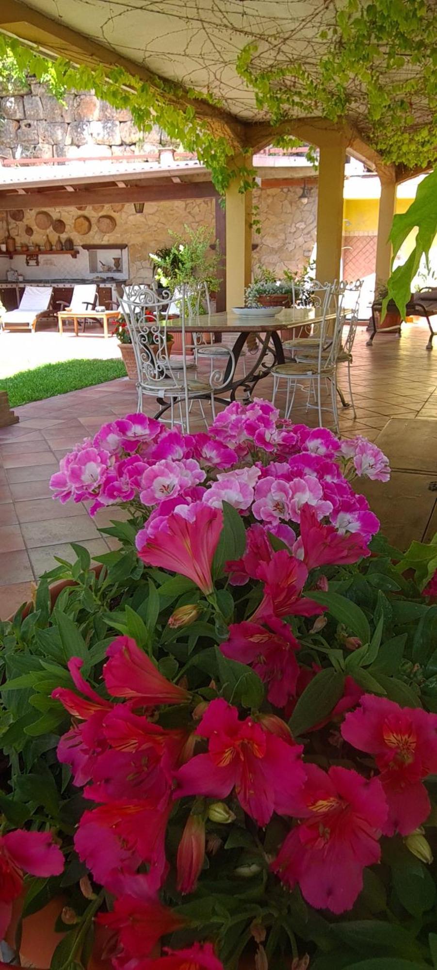 Villa Olga B&B Formia Exterior foto