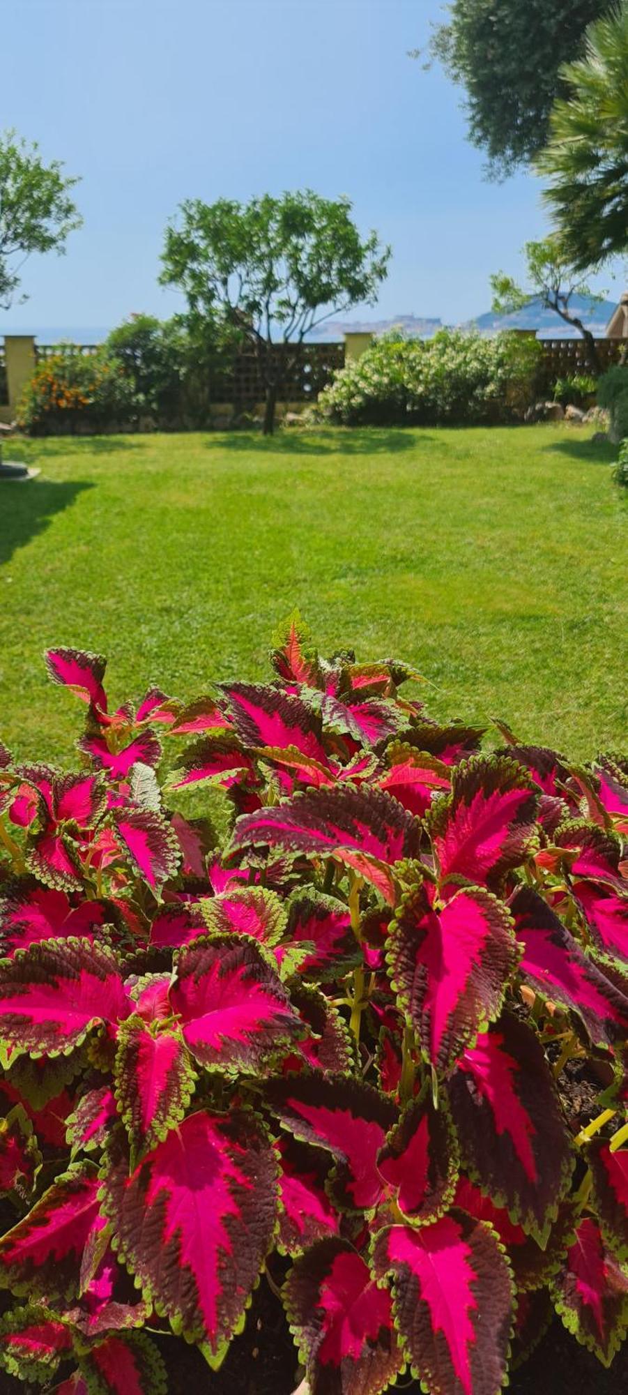 Villa Olga B&B Formia Exterior foto